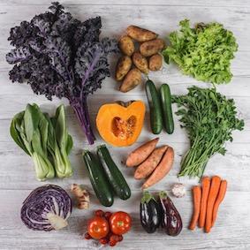 The True Costs of Conventional Farming