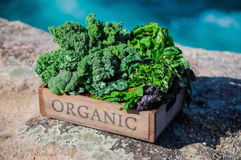 Inside Our Organic Mixed Boxes