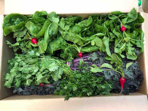 Best Quality Produce and Customer Reviews